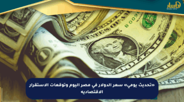 «تحديث يومي» سعر الدولار في مصر اليوم وتوقعات الاستقرار الاقتصادية